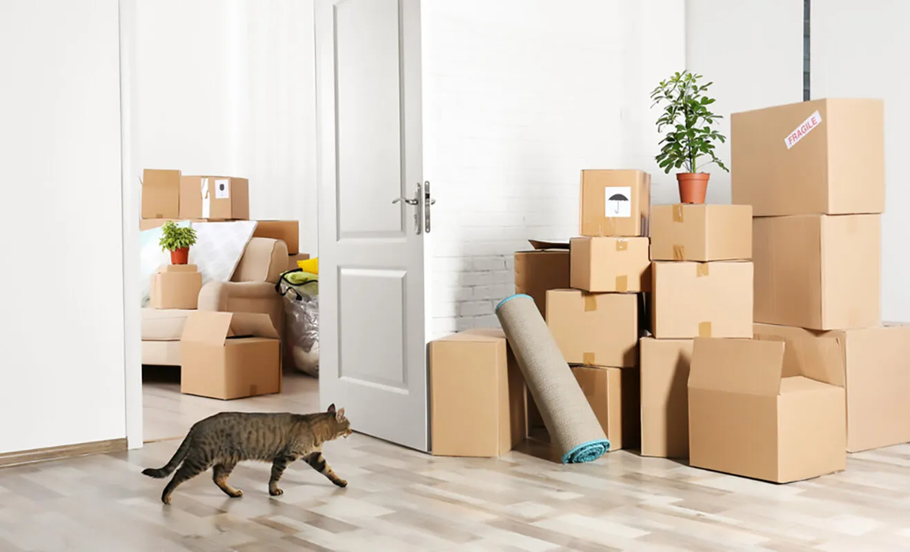 Organizzare un trasloco
